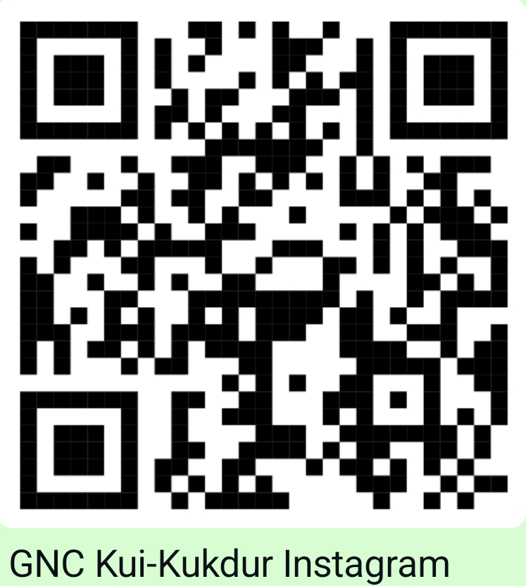 Government Naveen College social media QR code 4