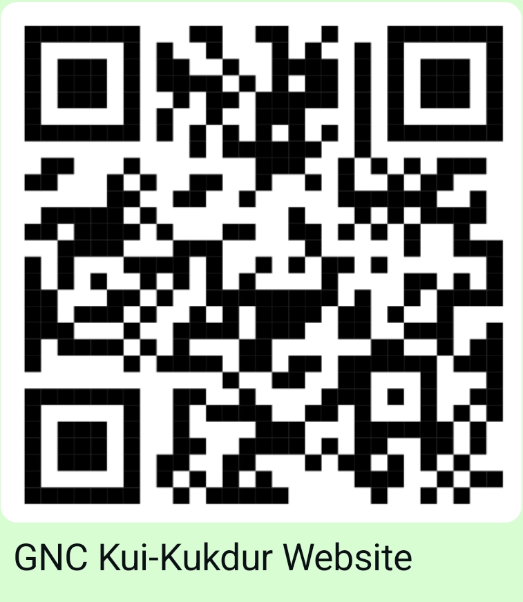 Government Naveen College social media QR code 6